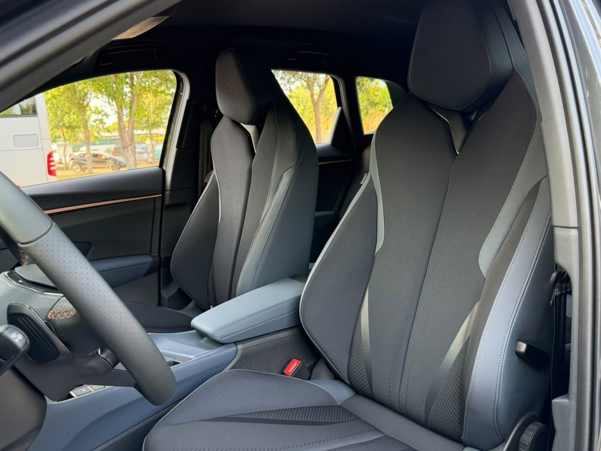 Cupra Terramar 1.5 hybrid 150cv dsg (7)