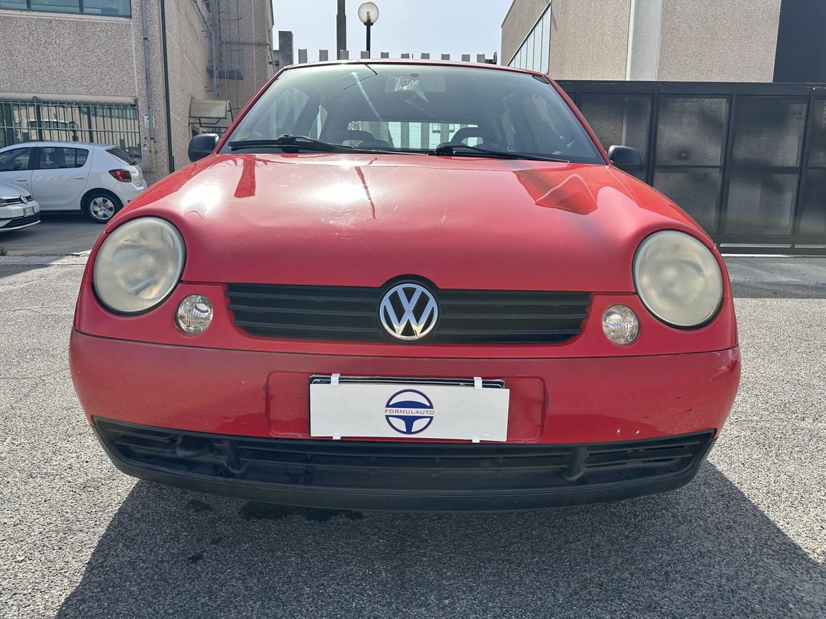 Volkswagen Lupo cat (2)