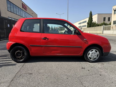 Volkswagen Lupo cat (7)