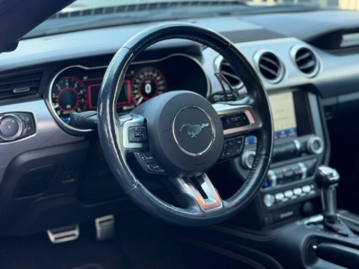 Ford Mustang Coupé Fastback 2.3 EcoBoost (14)