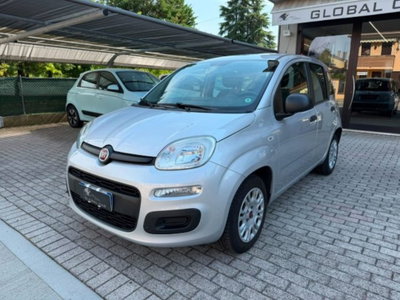 Fiat Panda 1.2 EasyPower Easy usata