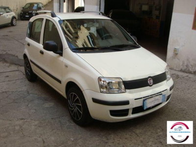 Fiat Panda 1.2 usata