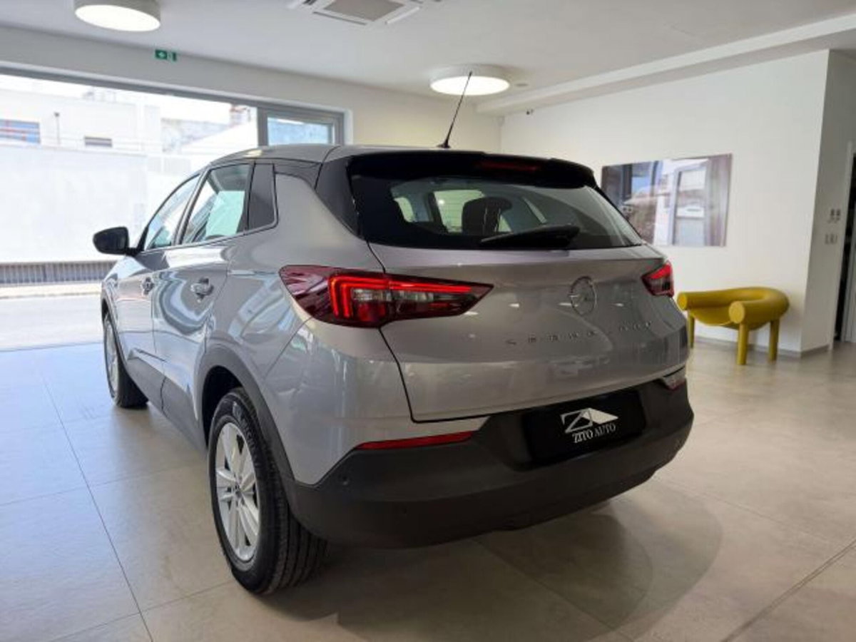 Opel Grandland X 1.5 diesel Ecotec Start&Stop Business (5)