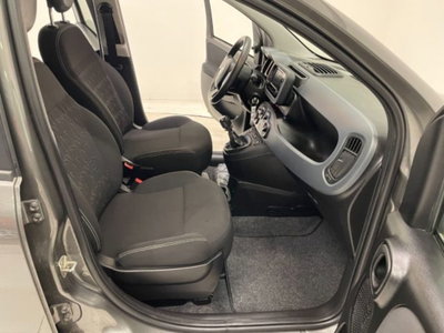 Fiat Panda 1.0 firefly hybrid s&s 70cv 5p.ti (20)