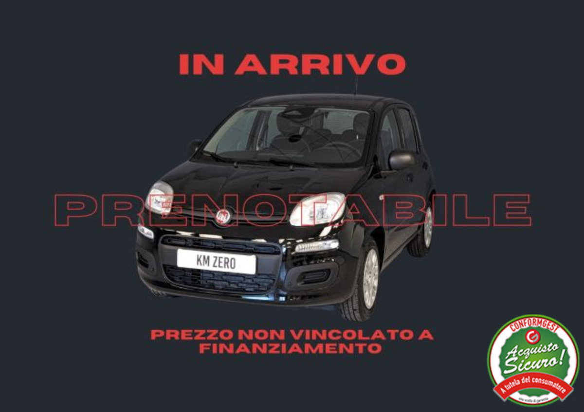 Fiat Pandina 1.0 firefly hybrid Icon s&s 65cv