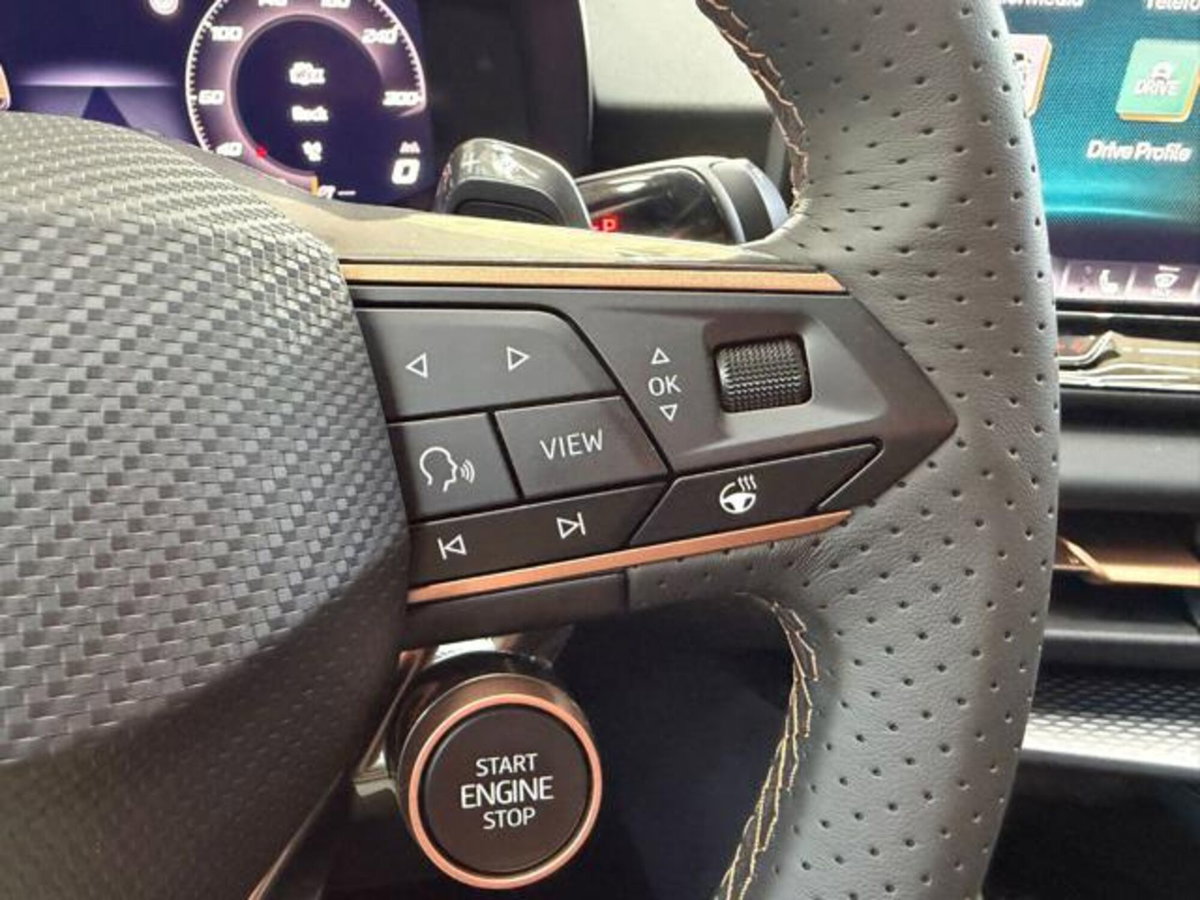 Cupra Terramar 1.5 hybrid 150cv dsg (20)