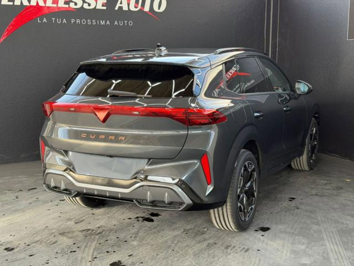 Cupra Terramar 1.5 hybrid 150cv dsg (4)