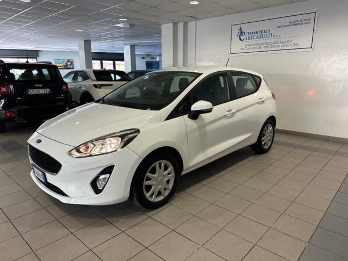 Ford Fiesta 1.5 EcoBlue 5 porte Business High (3)