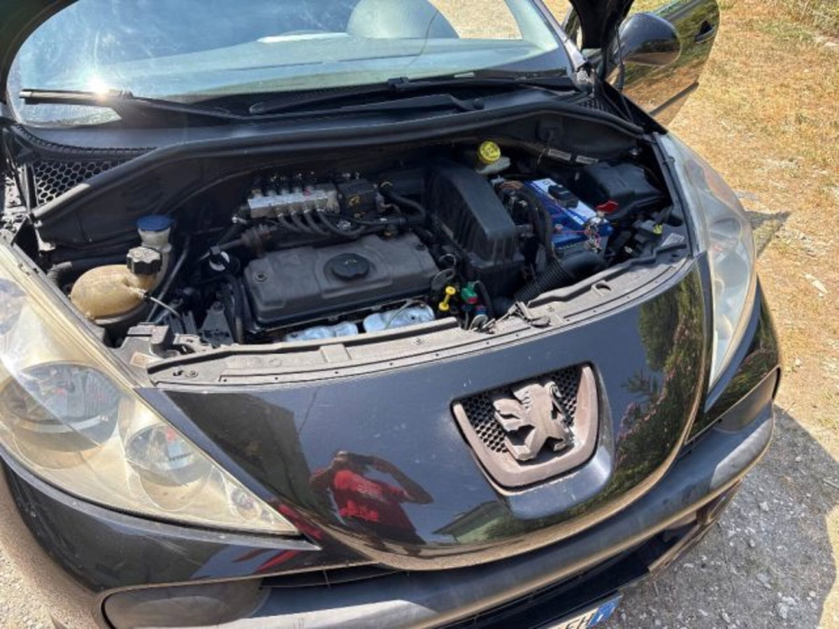 Peugeot 207 8V 75CV 3p. Energie ECO GPL (2)