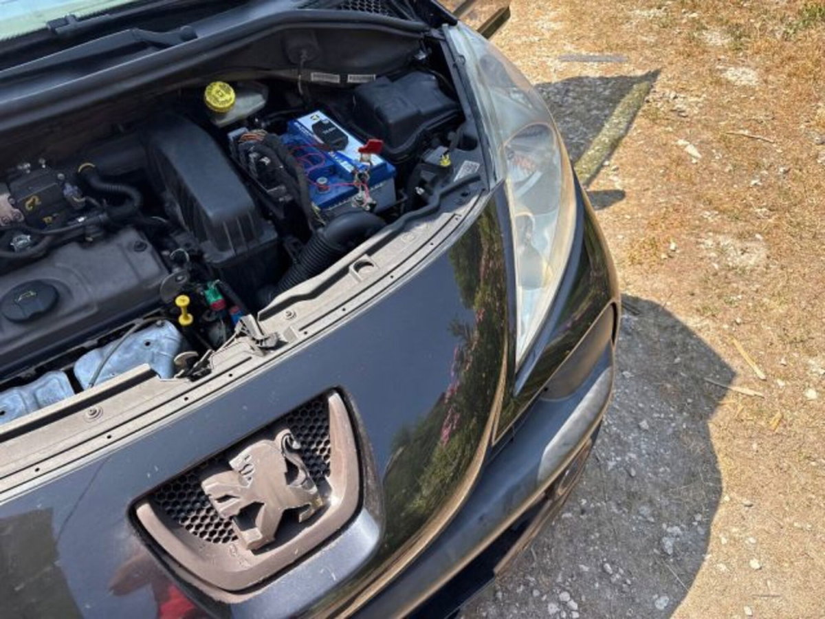 Peugeot 207 8V 75CV 3p. Energie ECO GPL (3)