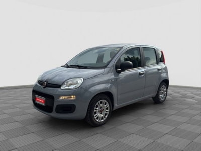 Fiat Panda Cross Cross 1.0 FireFly S&S Hybrid usata