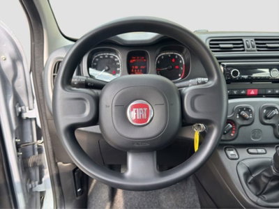 Fiat Panda Cross Cross 1.0 FireFly S&S Hybrid (12)