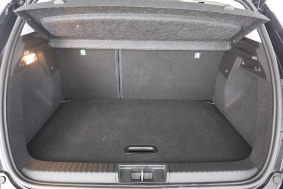 Renault Captur TCe 100 CV GPL FAP Intens (6)