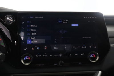 Lexus RX L Hybrid Luxury (11)