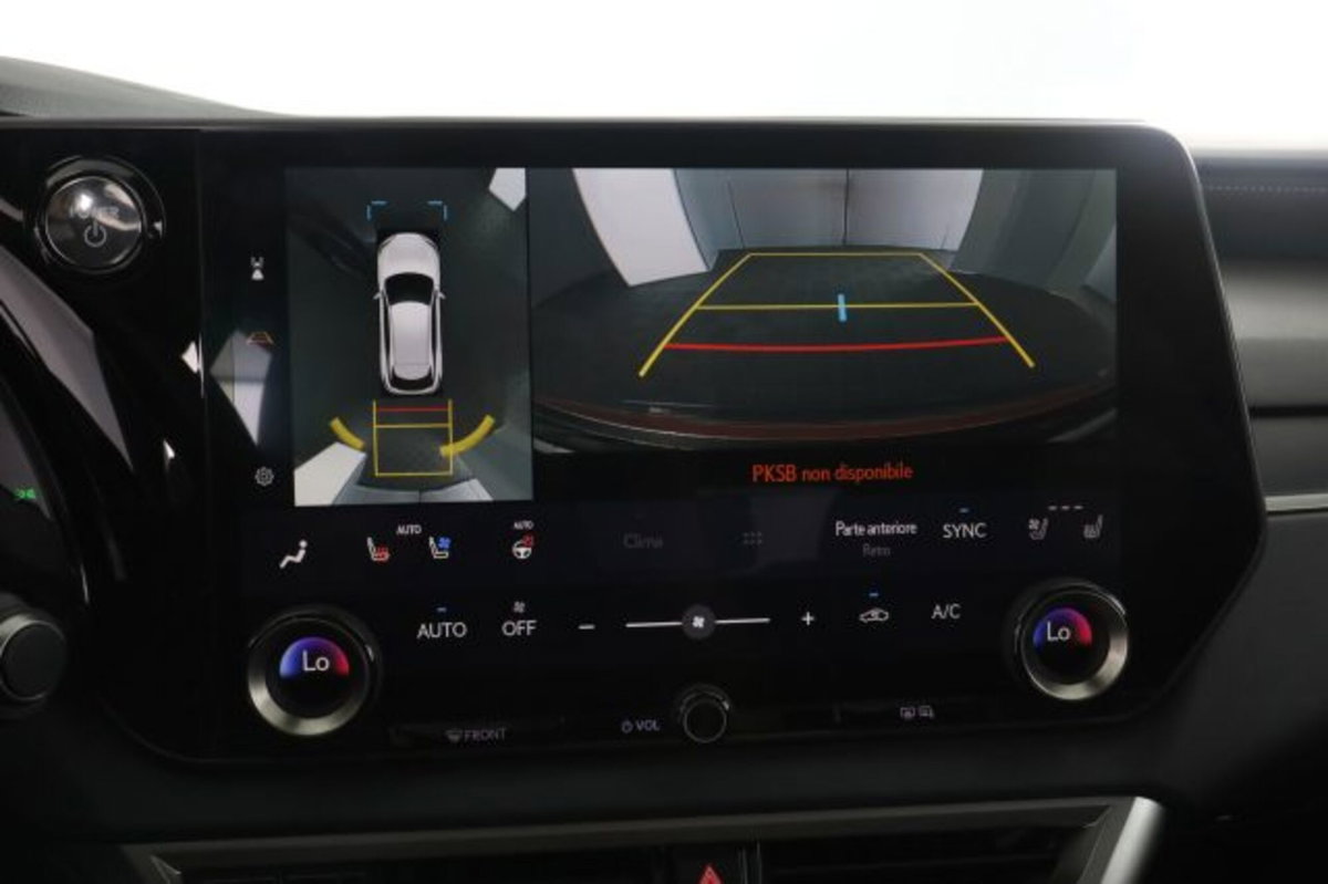Lexus RX L Hybrid Luxury (12)