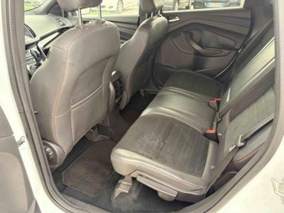 Ford Kuga 2.0 TDCI 180 CV S&S 4WD Powershift ST-Line (13)