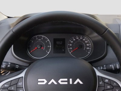 Dacia Jogger Jogger 1.0 TCe GPL 100 CV 7 posti Extreme (11)