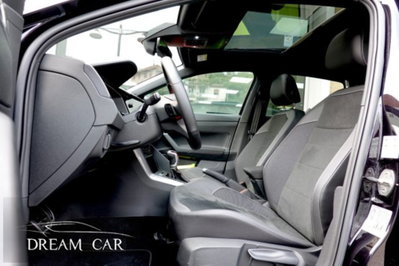 Volkswagen Polo 2.0 tsi GTI dsg (11)