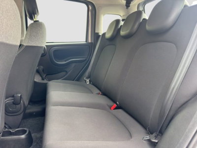 Fiat Panda Cross Cross 1.0 FireFly S&S Hybrid (10)