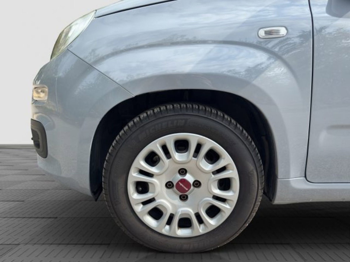 Fiat Panda Cross Cross 1.0 FireFly S&S Hybrid (15)
