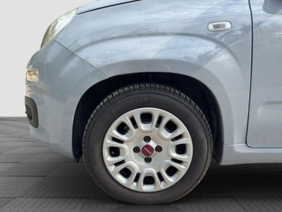 Fiat Panda Cross Cross 1.0 FireFly S&S Hybrid (15)