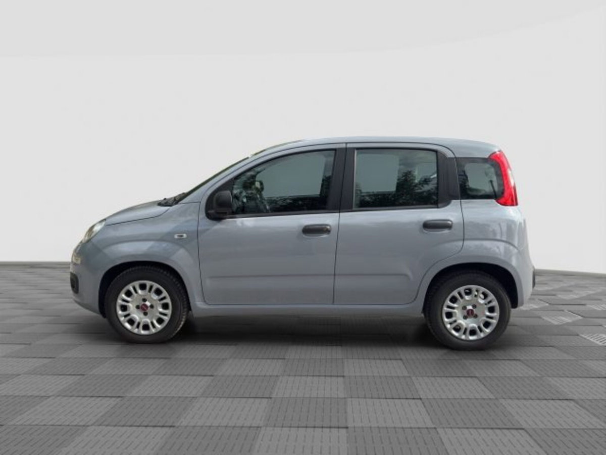 Fiat Panda Cross Cross 1.0 FireFly S&S Hybrid (2)