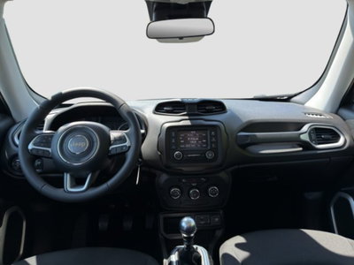 Jeep Renegade 1.0 T3 Longitude (12)