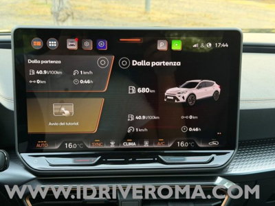 Cupra Formentor Formentor 2.0 tdi 4drive 150cv dsg (13)