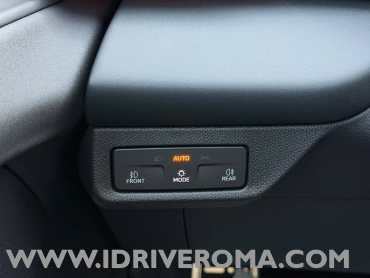 Cupra Terramar 1.5 hybrid 150cv dsg (15)