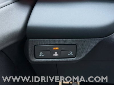 Cupra Terramar 1.5 hybrid 150cv dsg (15)