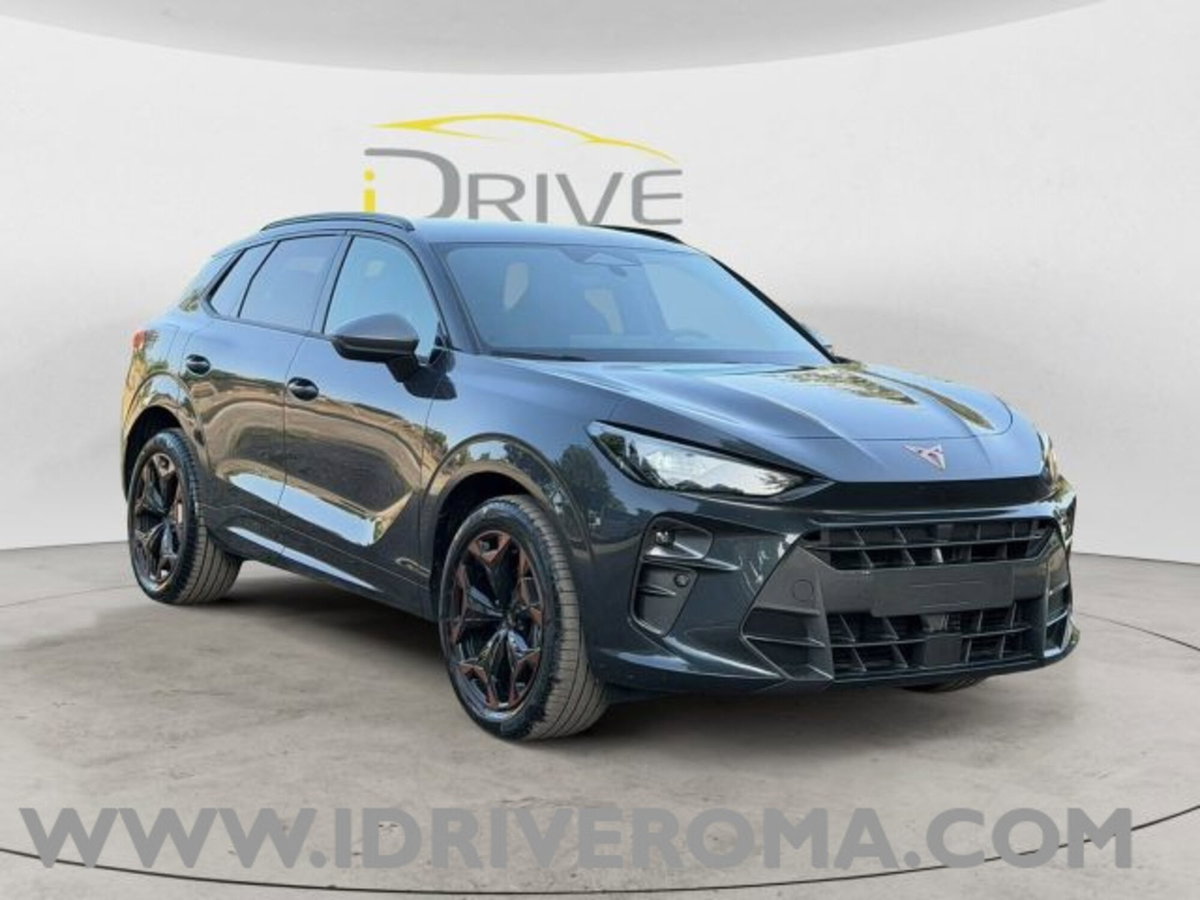Cupra Terramar 1.5 hybrid 150cv dsg (3)