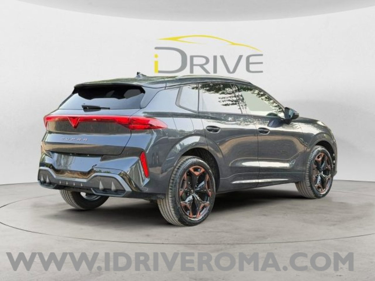 Cupra Terramar 1.5 hybrid 150cv dsg (4)