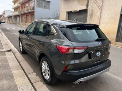 Ford Kuga 1.5 EcoBlue 120 CV aut. 2WD Titanium (7)