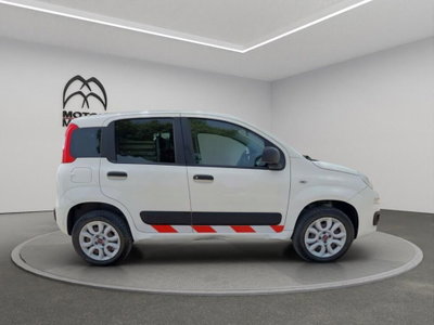 Fiat Panda van 0.9 Pop 85cv 4x4 2p.ti serie 4 E6d (4)