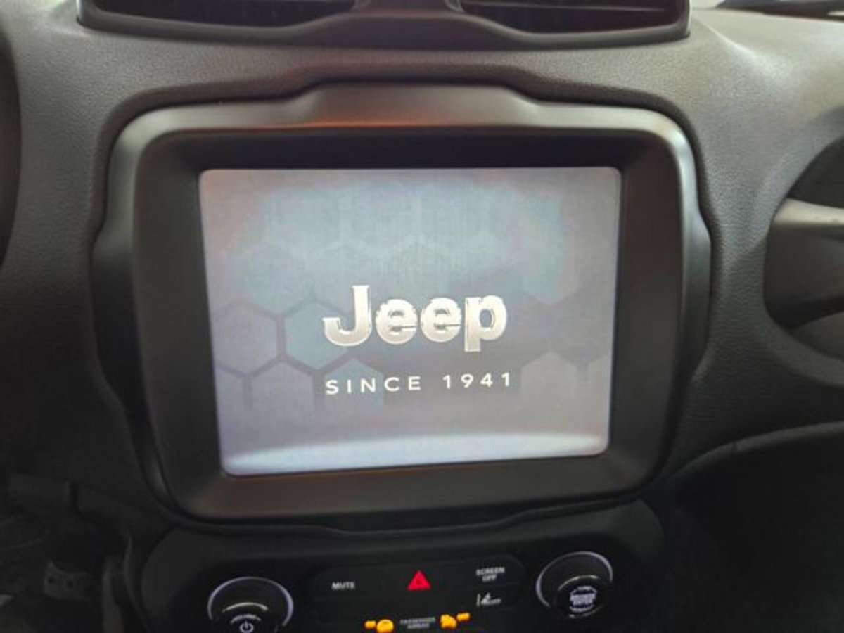 Jeep Renegade 1.6 Mjt 130 CV Limited (12)