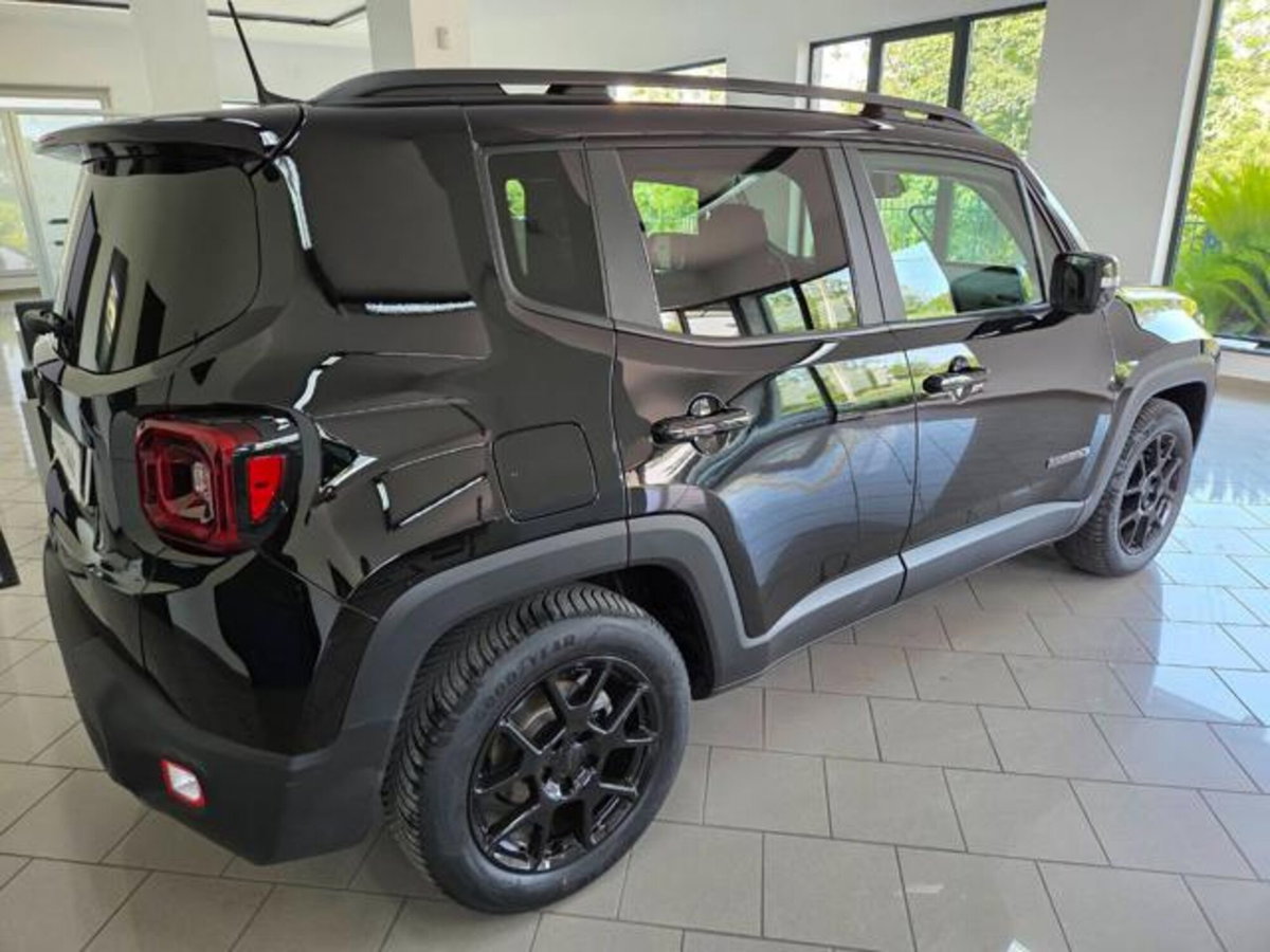 Jeep Renegade 1.6 Mjt 130 CV Limited (13)