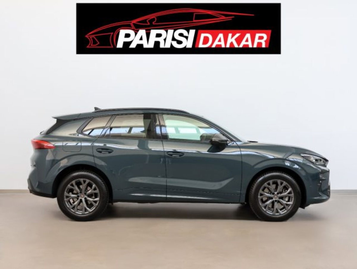 Cupra Terramar 2.0 tsi Impulse 4drive 204cv dsg (6)