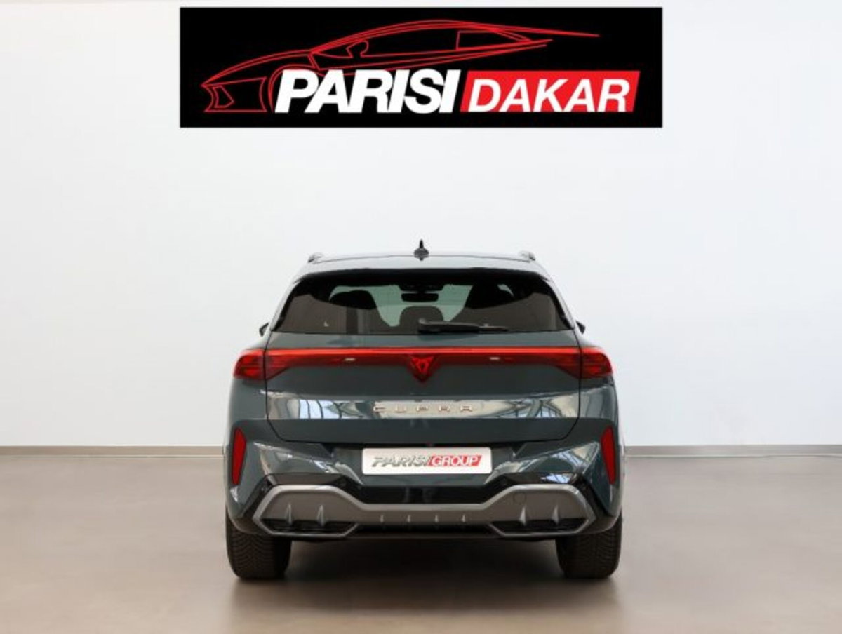 Cupra Terramar 2.0 tsi Impulse 4drive 204cv dsg (7)