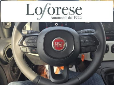 Fiat Panda Cross 1.0 firefly hybrid Cross s&s 70cv 5p.ti (11)