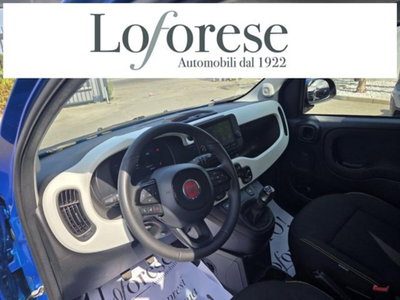 Fiat Panda Cross 1.0 firefly hybrid Cross s&s 70cv 5p.ti (5)