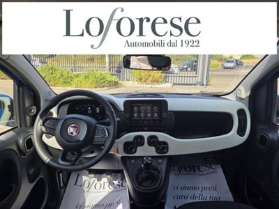 Fiat Panda Cross 1.0 firefly hybrid Cross s&s 70cv 5p.ti (8)