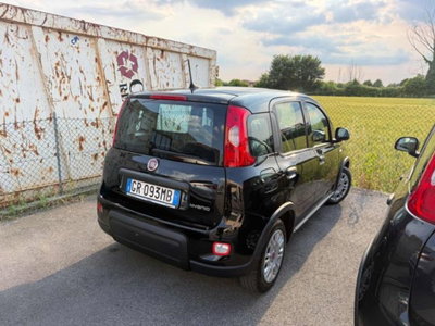 Fiat Panda 1.0 firefly hybrid s&s 70cv 5p.ti (4)