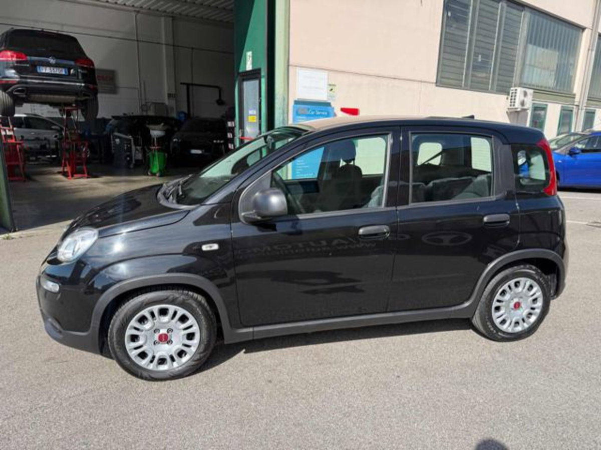 Fiat Panda 1.0 firefly hybrid s&s 70cv 5p.ti (2)