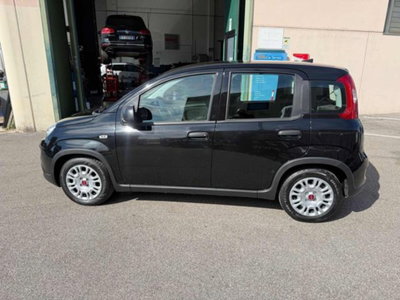 Fiat Panda 1.0 firefly hybrid s&s 70cv 5p.ti (5)