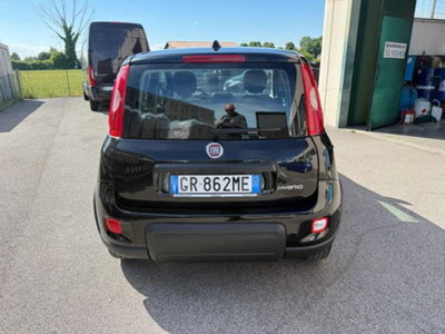 Fiat Panda 1.0 firefly hybrid s&s 70cv 5p.ti (7)