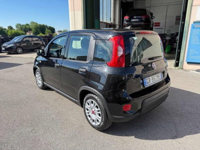 Fiat Panda 1.0 firefly hybrid s&s 70cv 5p.ti (8)