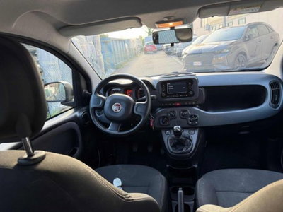 Fiat Panda 1.0 firefly hybrid s&s 70cv 5p.ti (12)