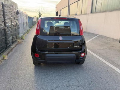 Fiat Panda 1.0 firefly hybrid s&s 70cv 5p.ti (2)