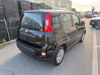 Fiat Panda 1.0 firefly hybrid s&s 70cv 5p.ti (3)