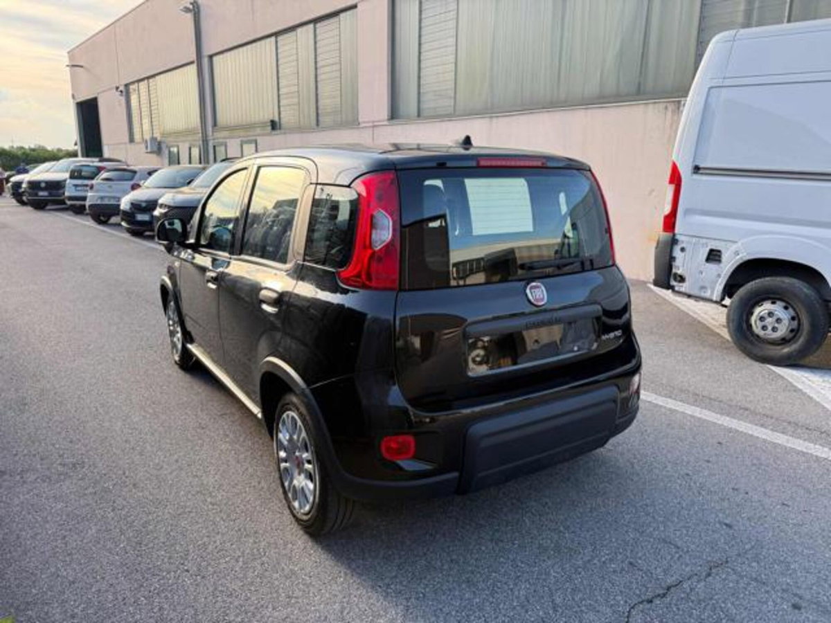 Fiat Panda 1.0 firefly hybrid s&s 70cv 5p.ti (4)